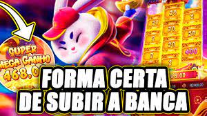 horário pagante do fortune rabbit